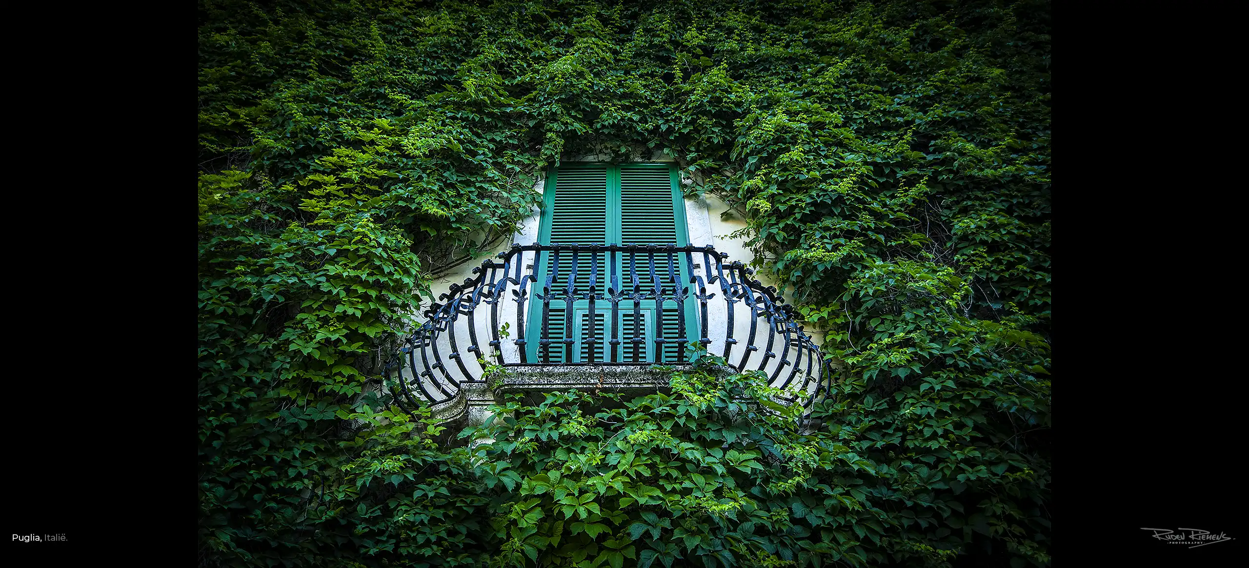 Venster met groene luiken en balkon in klimopwand, gefotografeerd in Puglia Italië door Ruden Riemens Photography Onderweg.