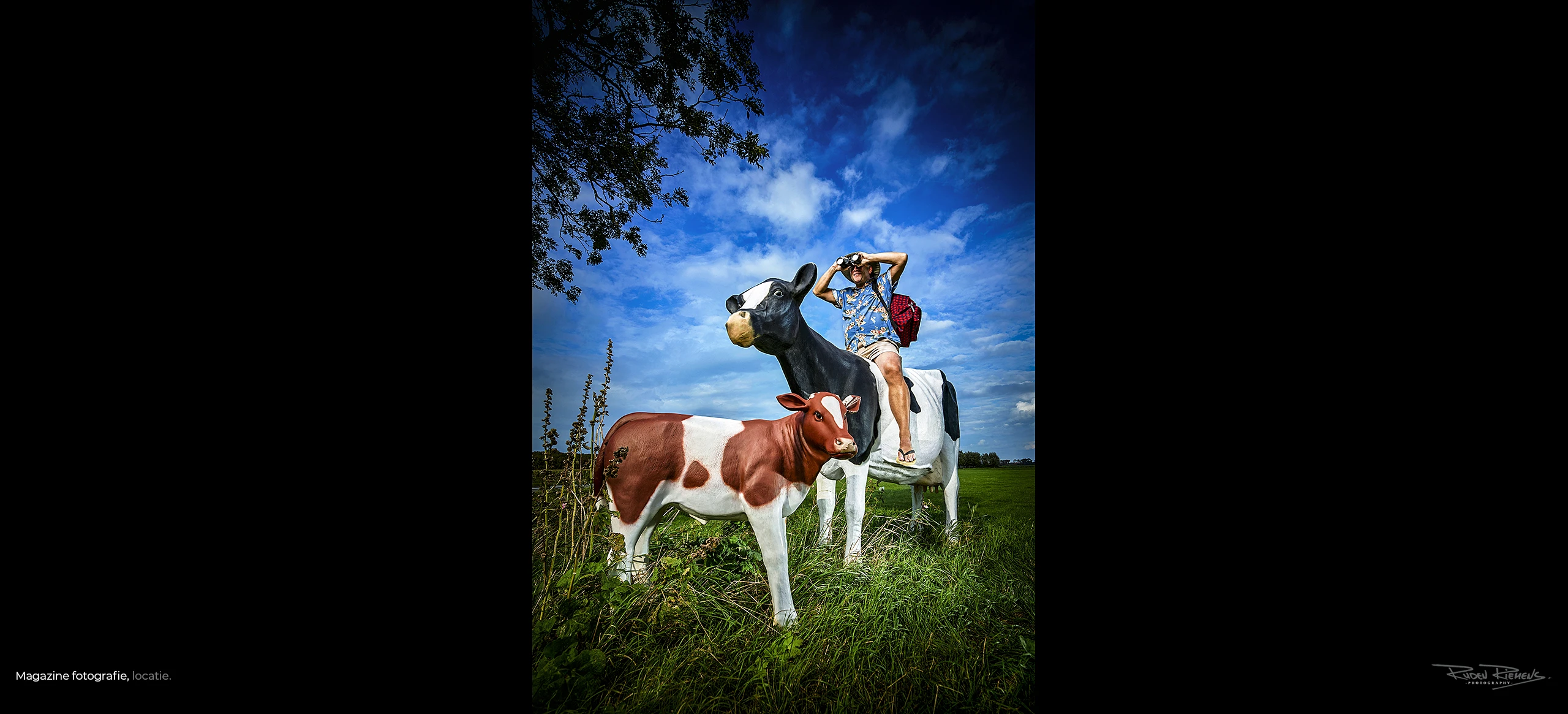 Toerist met verrekijker op koe in de wei, gemaakt voor VVV-magazine door Ruden Riemens Photography Opdracht Ruden Riemens Fotografie Opdracht.