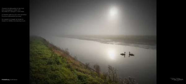 Ruden Riemens fotografeert landschappen in Zeeland, hier een foto van twee zwanen in de mist op de Middelburgse watergang.