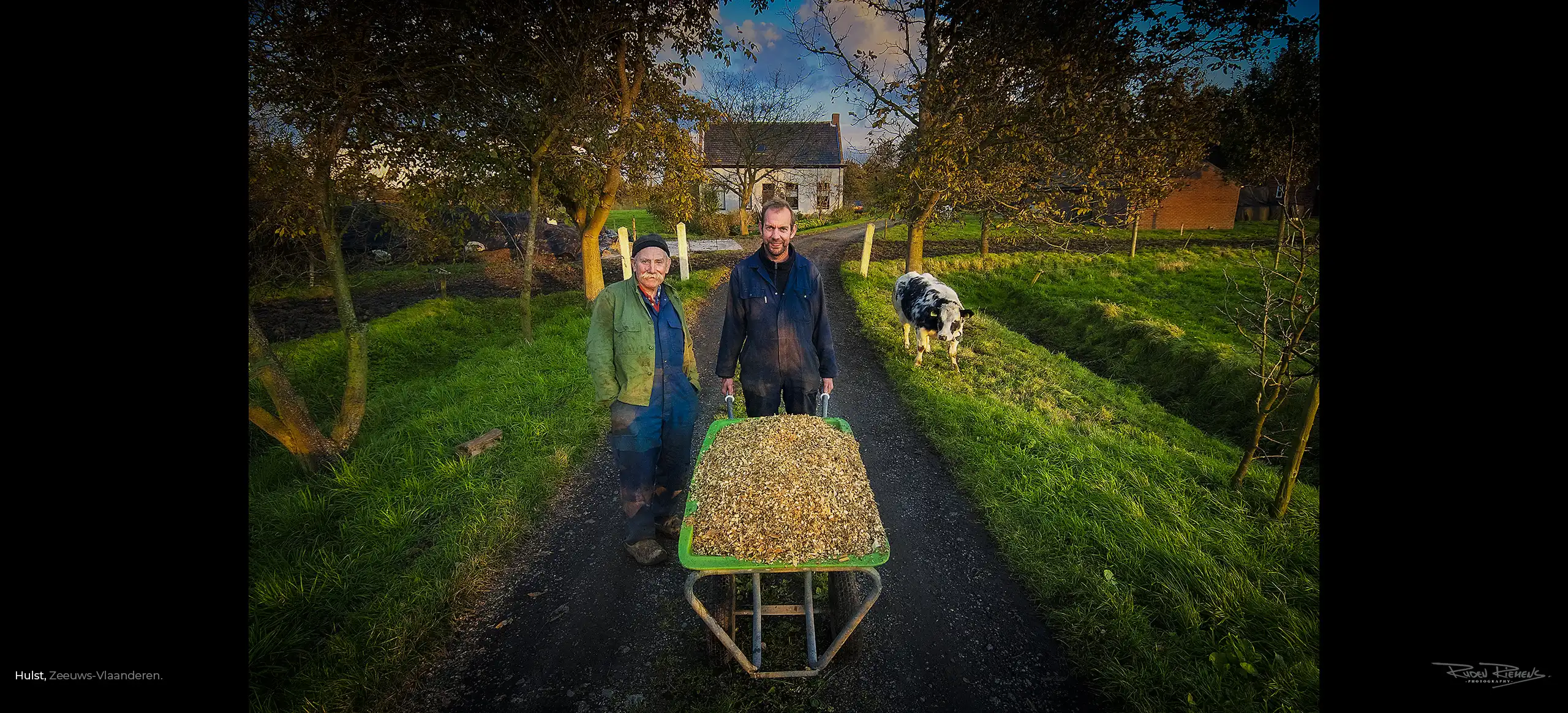 Portret in de herfst van vader en zoon met koe en kruiwagen op het erf van hun boerderij in Hulst Zeeuws-Vlaanderen, www.rudenriemens.com.