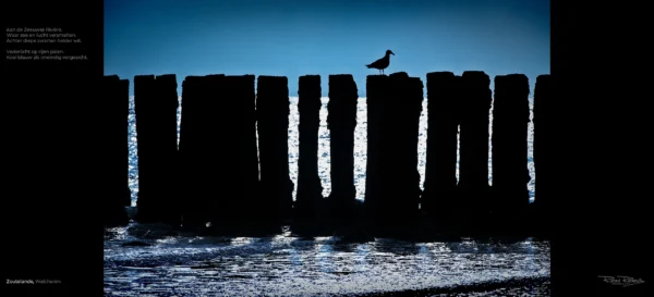 Paalhoofd in tegenlicht met vogel aan de Zeeuwse Rivièra Zoutelande, Ruden Riemens Photography Zealand Color.