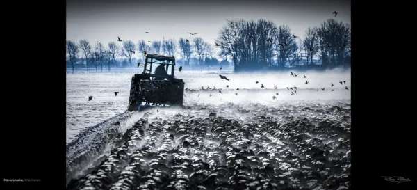 Winterfoto van een ploegende tractor in de Zeeuwse klei bij Kleverskerke, gemaakt door De Zeelandfotograaf Ruden Riemens.