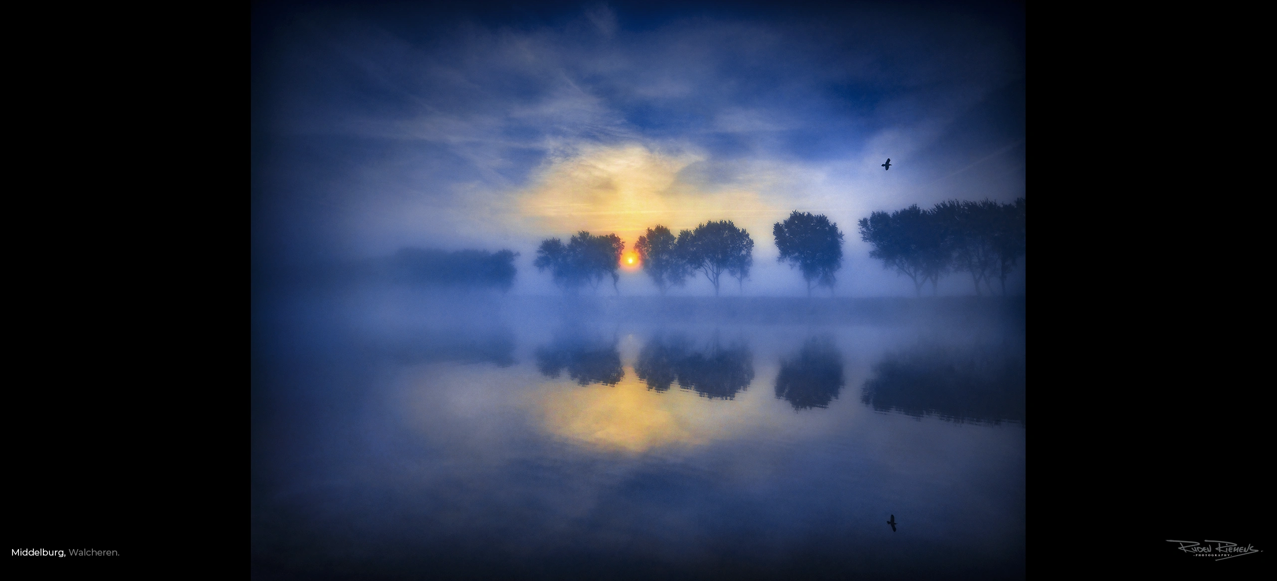 Zonsopkomst door de in nevelen gehulde bomen aan het Kanaal door Walcheren, Ruden Riemens Fotografie.