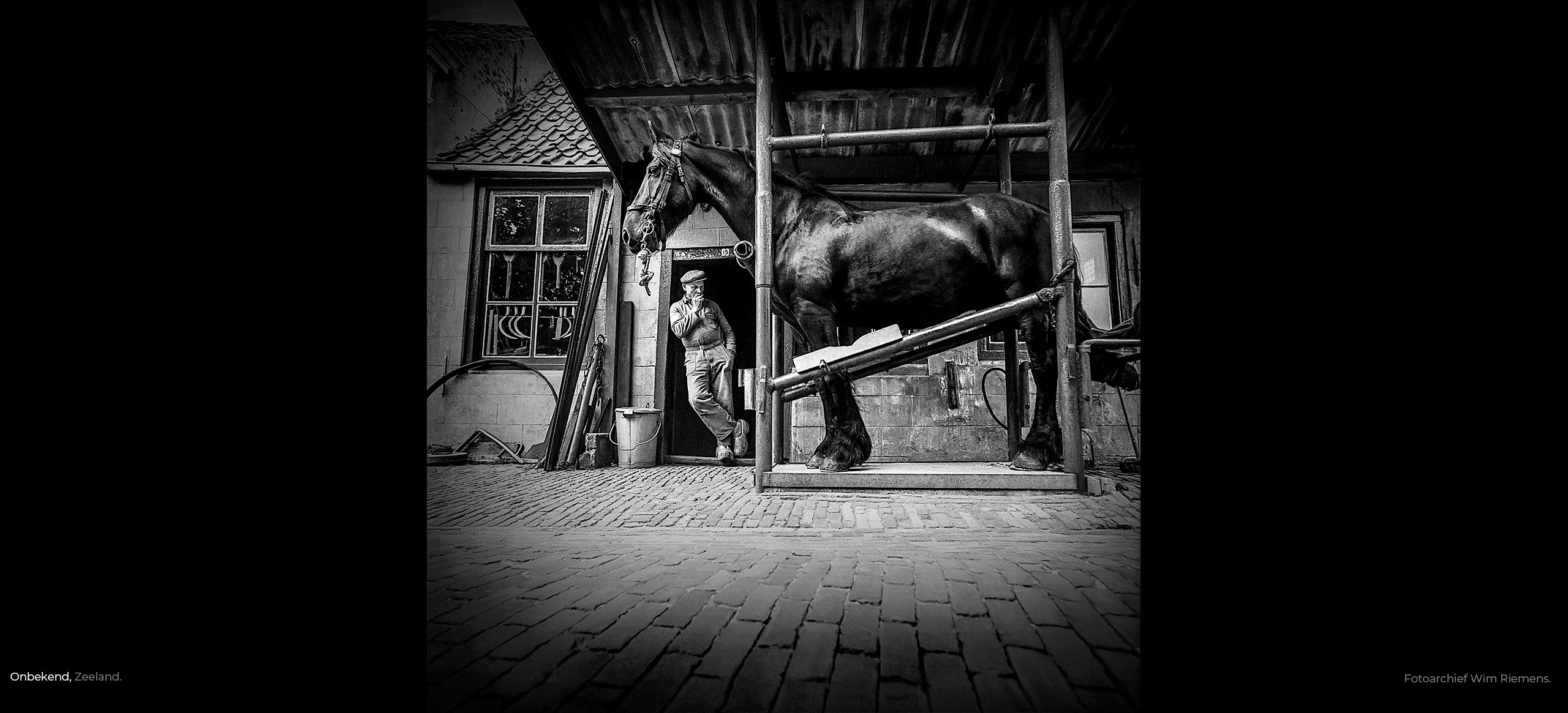 Rokende baas wacht op paard in travalje bij de hoefsmid ergens in Zeeland, archief Wim Riemens.