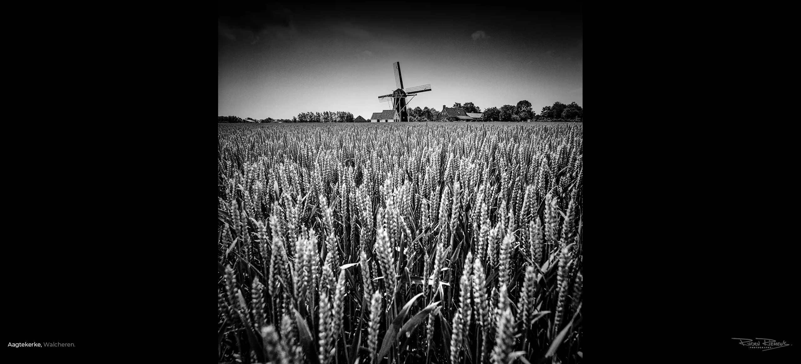 Graanveld voor de molen van Aagtekerke in Zeeland, Ruden Riemens Fotografie.