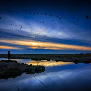 Een prachtige foto voor aan uw muur, natuurgebied De Yerseke Moer bij zonsondergang met een lucht vol ganzen, Ruden Riemens Fotografie Zeeland.