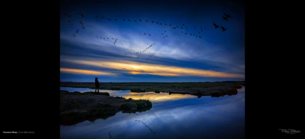 Een prachtige foto voor aan uw muur, natuurgebied De Yerseke Moer bij zonsondergang met een lucht vol ganzen, Ruden Riemens Fotografie Zeeland.