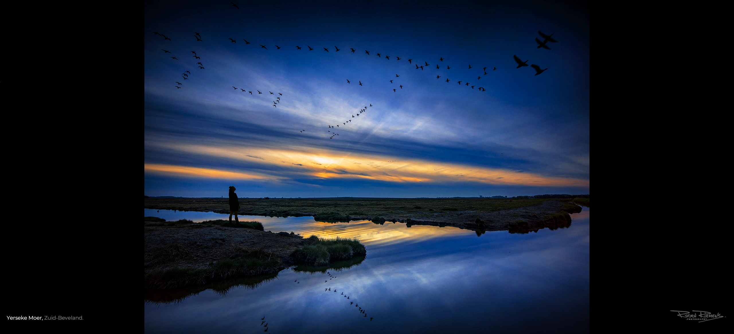 Een prachtige foto voor aan uw muur, natuurgebied De Yerseke Moer bij zonsondergang met een lucht vol ganzen, Ruden Riemens Fotografie Zeeland.